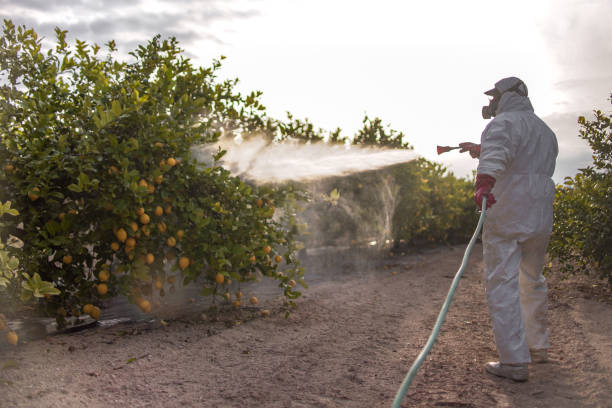 Best Fumigation Services  in Matawan, NJ